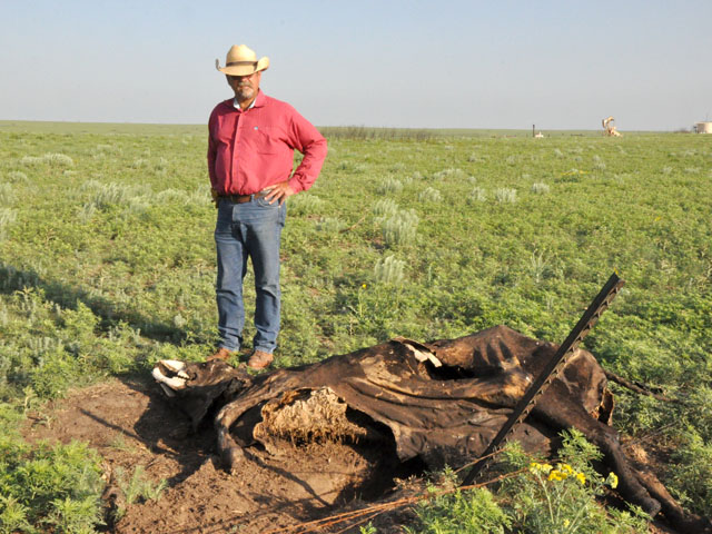 Last year in March, wildfires scorched Steve Rader&#039;s ranch in the Texas Panhandle, killing about 85 of his 520-head cattle operation, and wiped away about 60% of his pastures. (DTN photo by Todd Neeley)